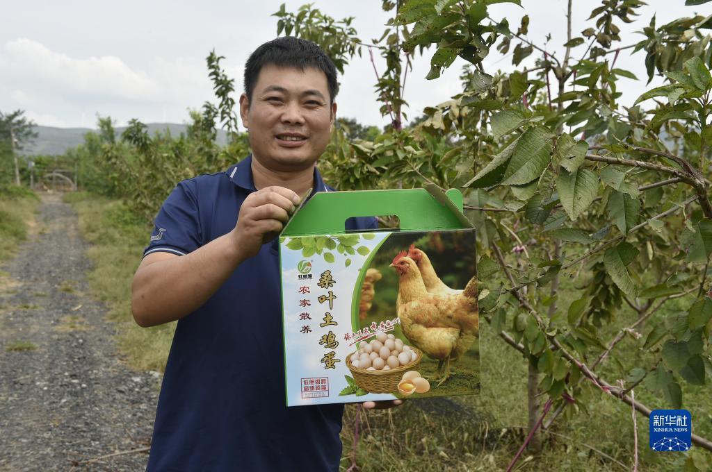 老虎机吐分规则